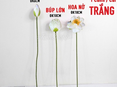 Cành sen quan âm cao cấp đẹp như thật (bán lẻ theo cành) CANHHOA-02